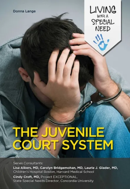 Juvenile Court System