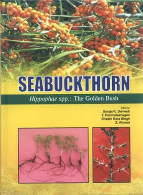 Seabuckthorn