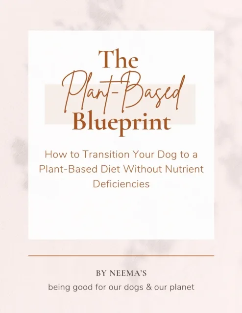 Plant-Based Blueprint: How to Transition Your Dog to a Plant-Based Diet Without Nutrient Deficiencies