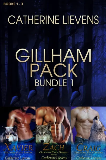 Gillham Pack Bundle 1