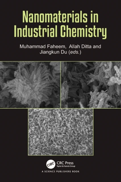 Nanomaterials in Industrial Chemistry