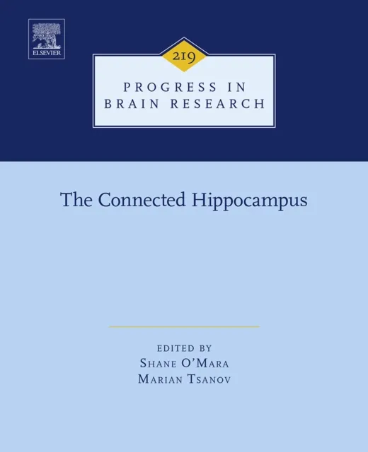 Connected Hippocampus