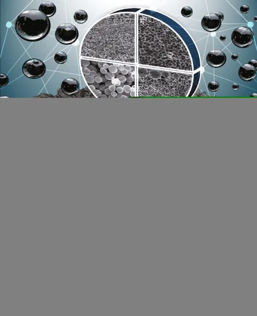 Polymeric Membrane Formation by Phase Inversion