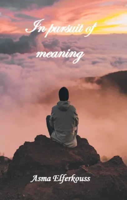 In Pursuit of Meaning