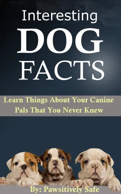 Interesting Dog Facts:  Learn Things About Your Canine Pals That You Never Knew