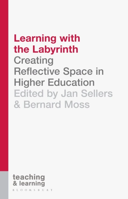 Learning with the Labyrinth