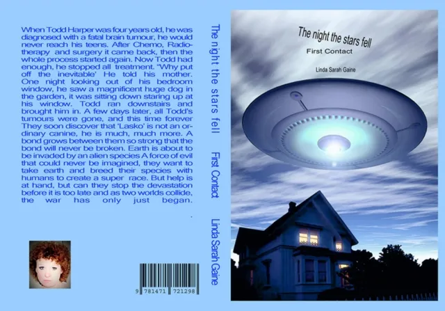 night the stars fell