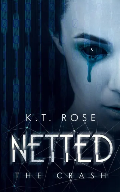 Netted Book 3: The Crash