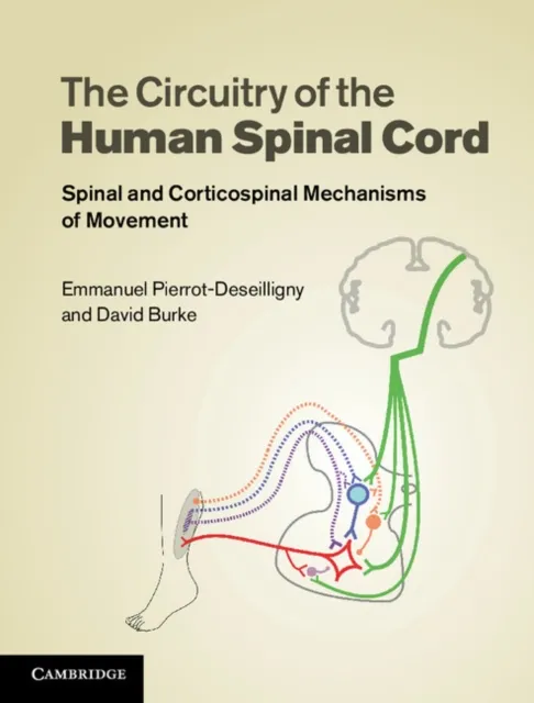 Circuitry of the Human Spinal Cord