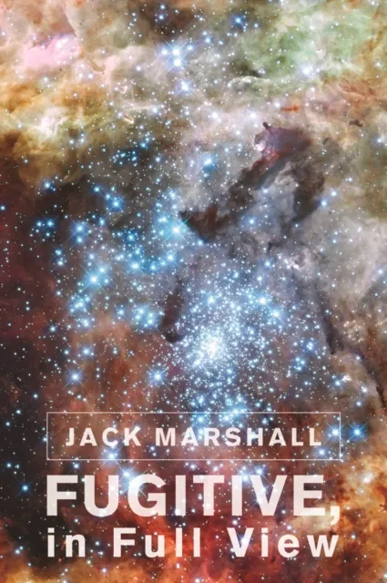 Fugitive, in Full View