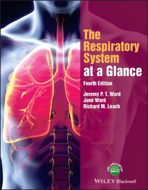 Respiratory System at a Glance
