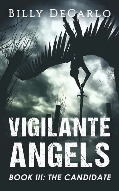 Vigilante Angels Book III: The Candidate