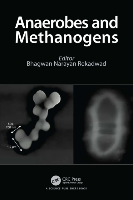 Anaerobes and Methanogens
