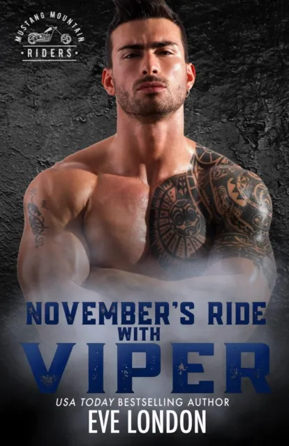 November's Ride with Viper
