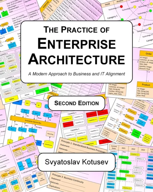 Practice of Enterprise Architecture