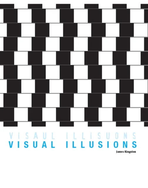 Visual Illusions
