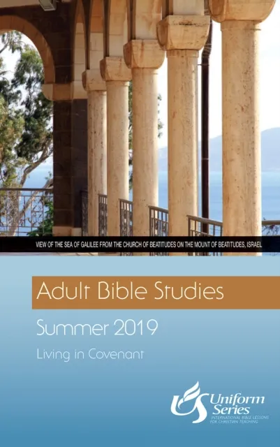 Adult Bible Studies Summer 2019 Student [Large Print]