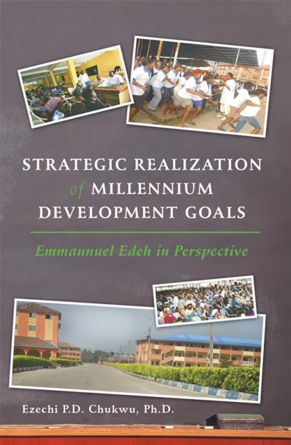Strategic Realization of Millennium Development Goals