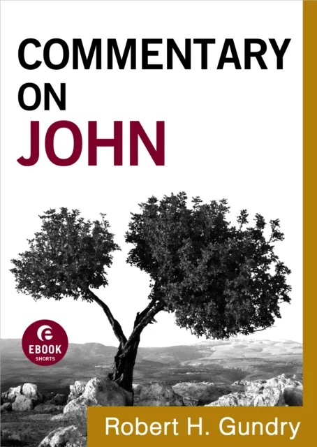 Commentary on John (Commentary on the New Testament Book #4)