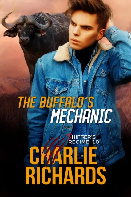 Buffalo's Mechanic