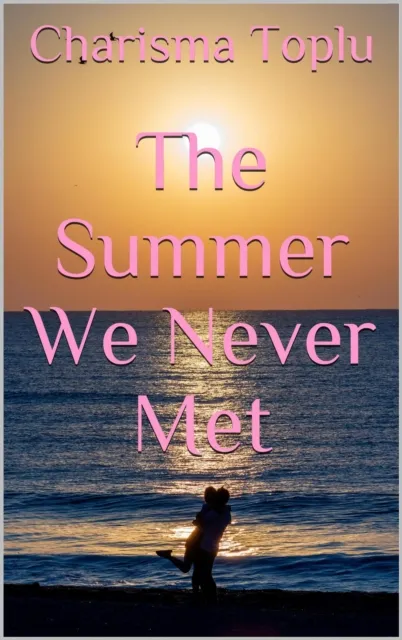 Summer We Never Met
