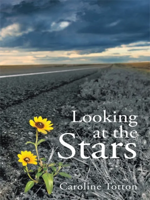 Looking at the Stars