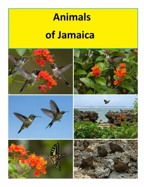 Animals of Jamaica