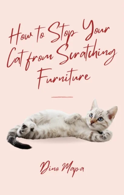 How to Stop Your Cat from Scratching Furniture