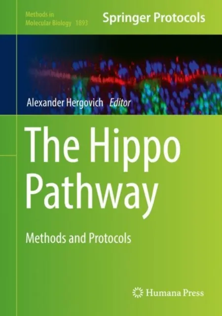 Hippo Pathway