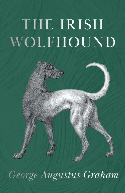 Irish Wolfhound