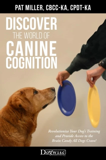 Discover The World Of Canine Cognition