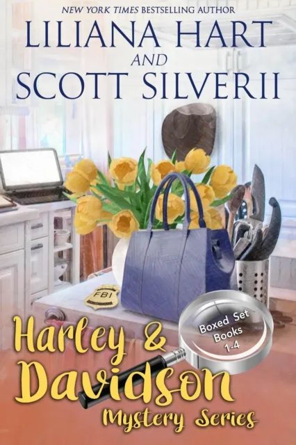 Harley and Davidson Mystery Box Set 1