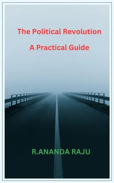 Political Revolution    A Practical Guide
