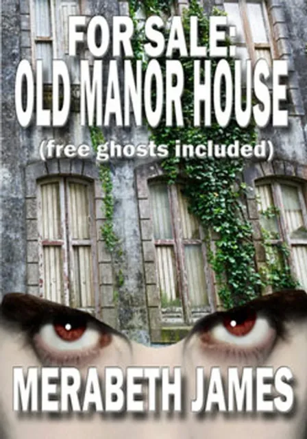 For Sale: Old Manor House (Free Ghosts Included) A Caitlin McLeod Gothic Romance Book 1