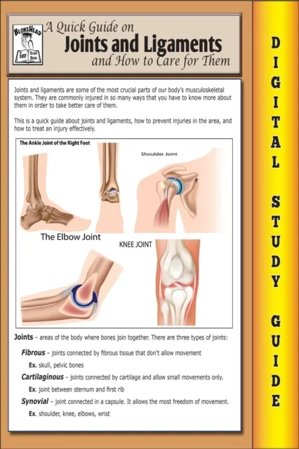 Joints and Ligaments ( Blokehead Easy Study Guide)