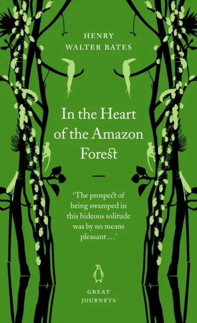 In the Heart of the Amazon Forest