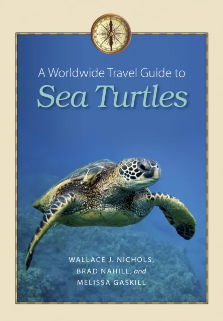 Worldwide Travel Guide to Sea Turtles
