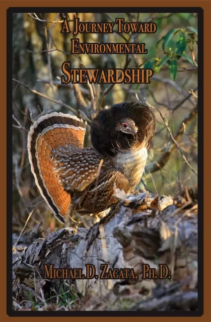 Journey Toward Environmental Stewardship