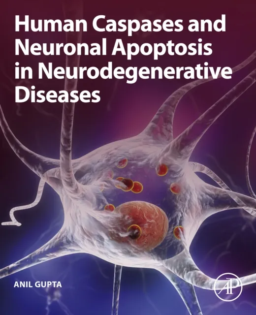 Human Caspases and Neuronal Apoptosis in Neurodegenerative Diseases