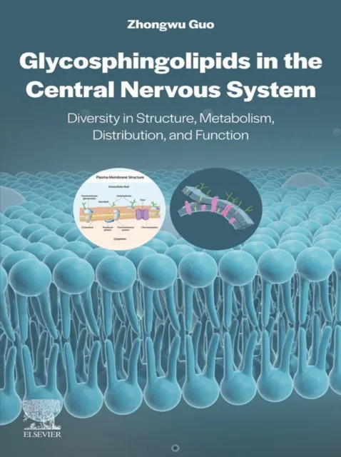 Glycosphingolipids in the Central Nervous System