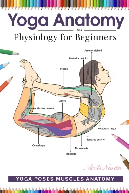 Yoga Anatomy and Physiology for Beginners