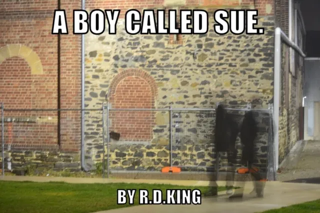 Boy Called Sue