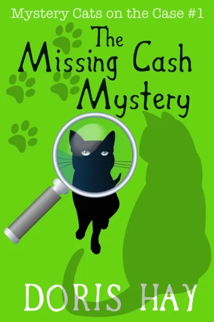 Missing Cash Mystery