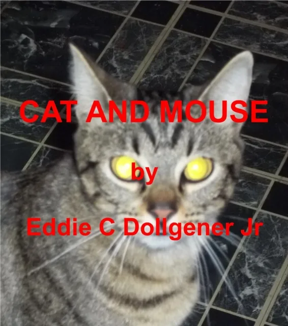 Cat and Mouse