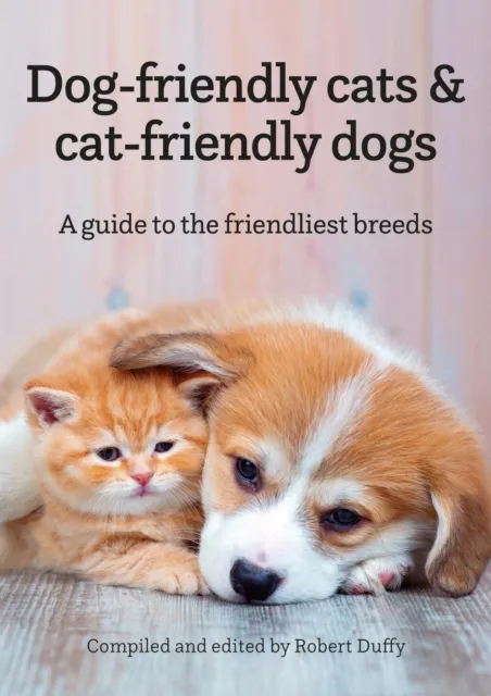 Dog-friendly cats & cat-friendly dogs