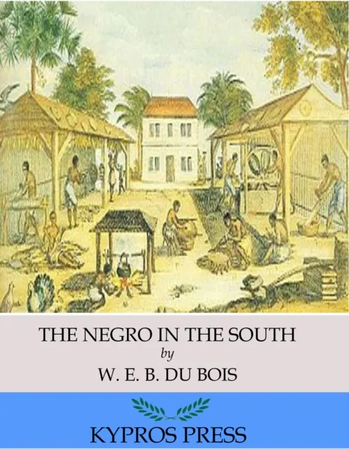 Negro in the South
