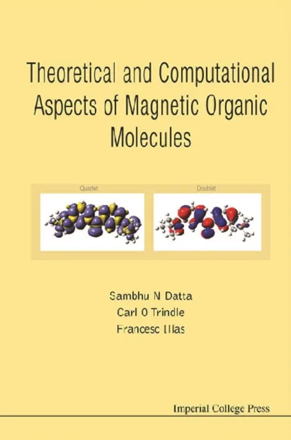Theoretical And Computational Aspects Of Magnetic Organic Molecules