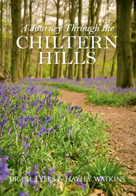 Journey Through the Chiltern Hills