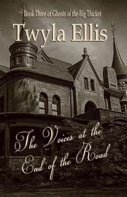 Voices at the End of the Road: Book Three of Ghosts of the Big Thicket