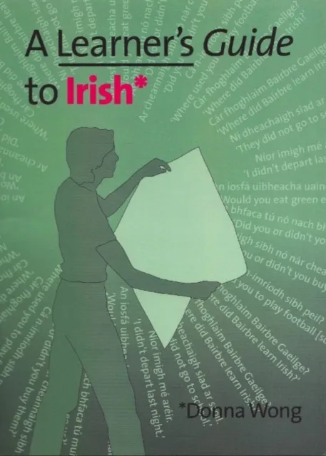 Learner's Guide to Irish